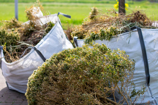Best Yard Waste Removal  in Pea Ridge, WV